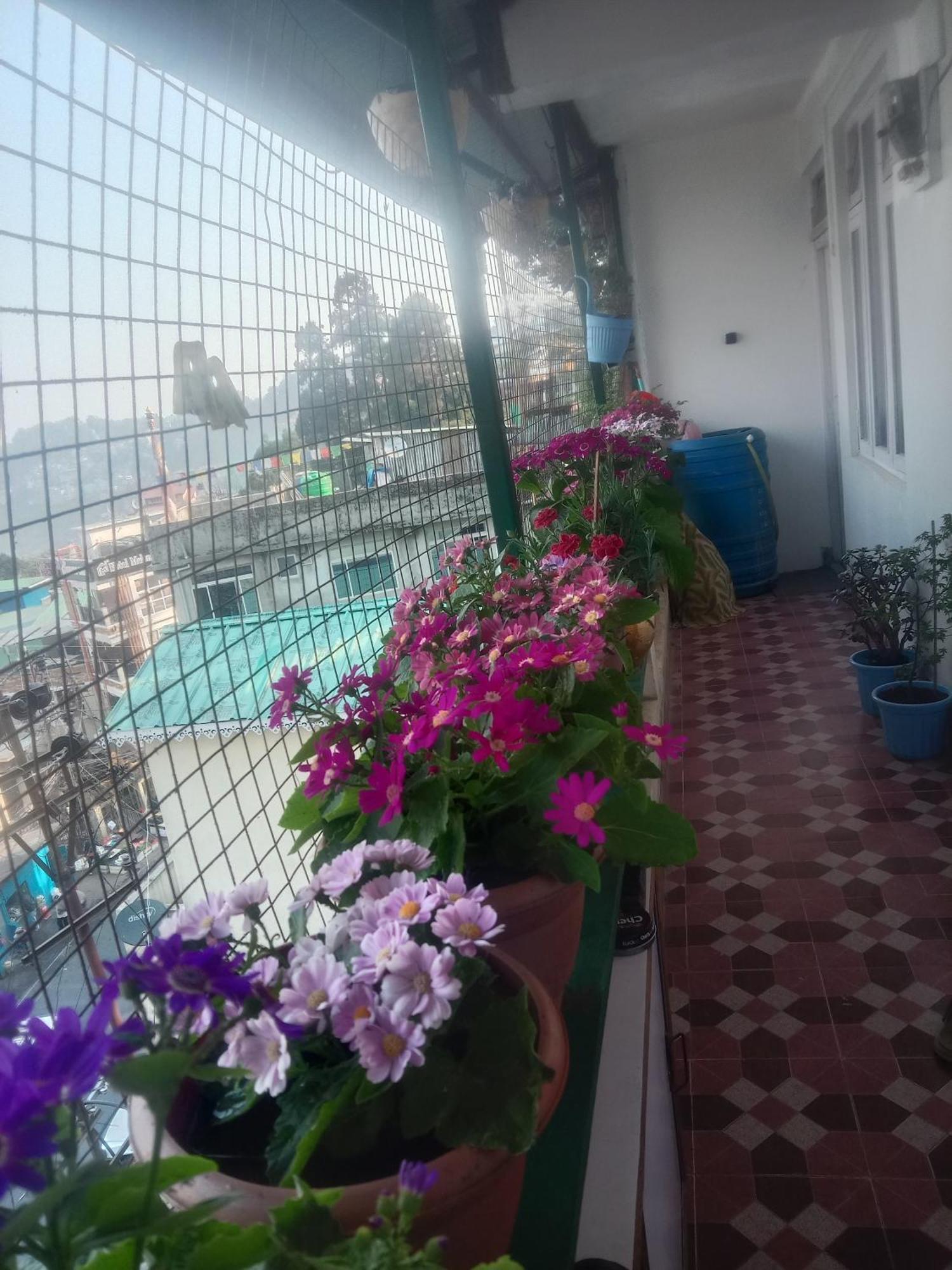 Beverly Hills Home Stay ดาร์จีลิง ภายนอก รูปภาพ